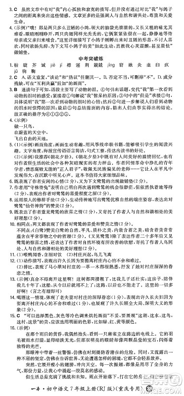 湖南教育出版社2024年秋一本同步训练七年级语文上册人教版重庆专版答案