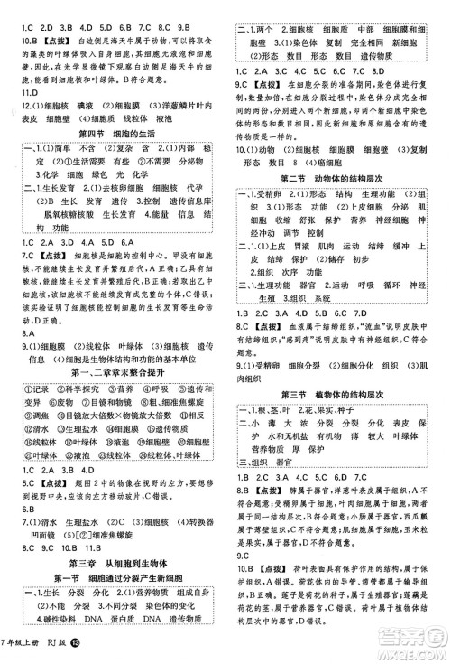 湖南教育出版社2024年秋一本同步训练七年级生物上册人教版答案 湖南教育出版社2024年秋一本同步训练七年级生物上册人教版答案