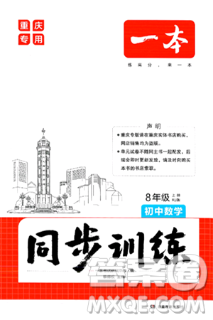 湖南教育出版社2024年秋一本同步训练八年级数学上册人教版重庆专版答案