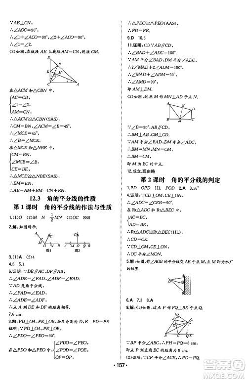 湖南教育出版社2024年秋一本同步训练八年级数学上册人教版辽宁专版答案