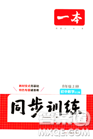 湖南教育出版社2024年秋一本同步训练八年级数学上册北师大版答案