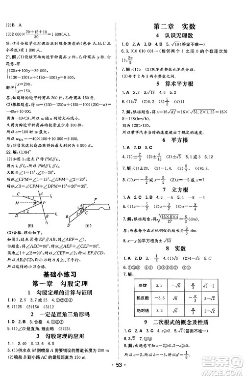 湖南教育出版社2024年秋一本同步训练八年级数学上册北师大版陕西专版答案