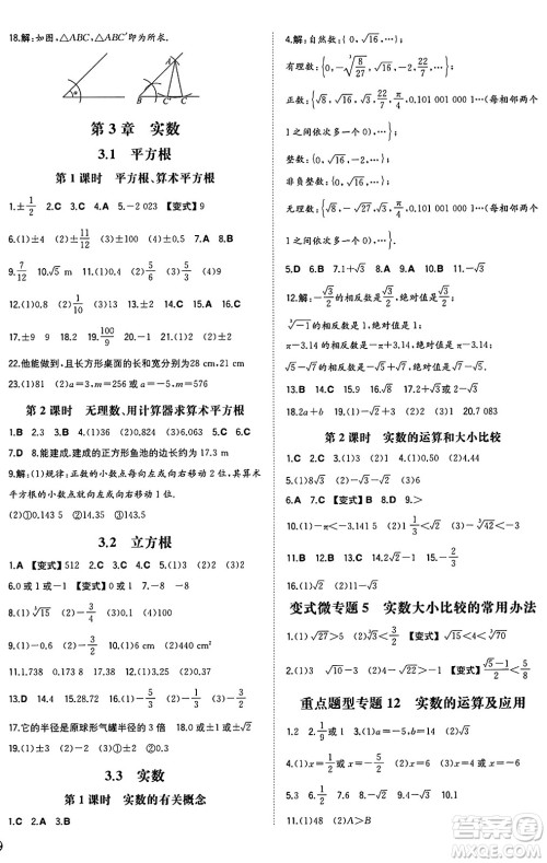 湖南教育出版社2024年秋一本同步训练八年级数学上册湘教版湖南专版答案 湖南教育出版社2024年秋一本同步训练八年级数学上册湘教版湖南专版答案