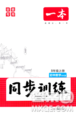 湖南教育出版社2024年秋一本同步训练八年级数学上册沪科版安徽专版答案