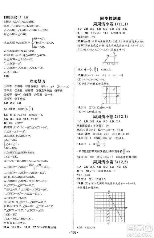 湖南教育出版社2024年秋一本同步训练八年级数学上册沪科版安徽专版答案