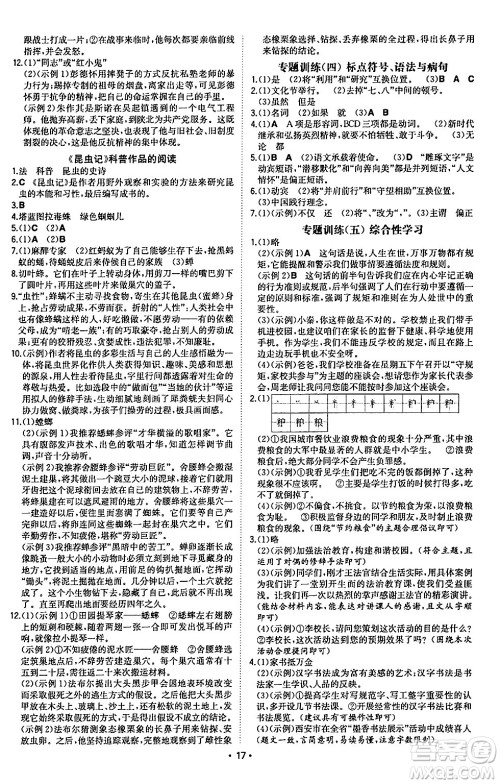 湖南教育出版社2024年秋一本同步训练八年级语文上册人教版陕西专版答案