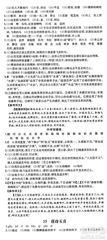 湖南教育出版社2024年秋一本同步训练八年级语文上册人教版重庆专版答案