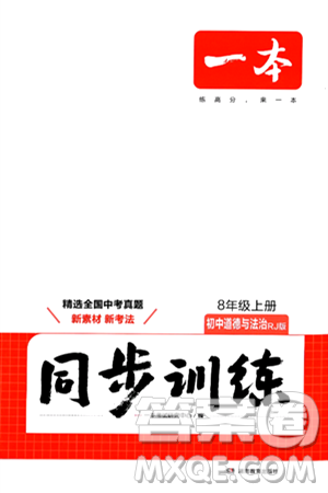 湖南教育出版社2024年秋一本同步训练八年级道德与法治上册人教版答案