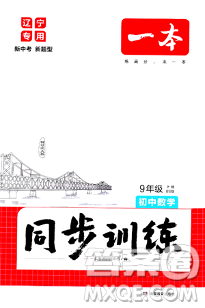 湖南教育出版社2024年秋一本同步训练九年级数学上册北师大版辽宁专版答案