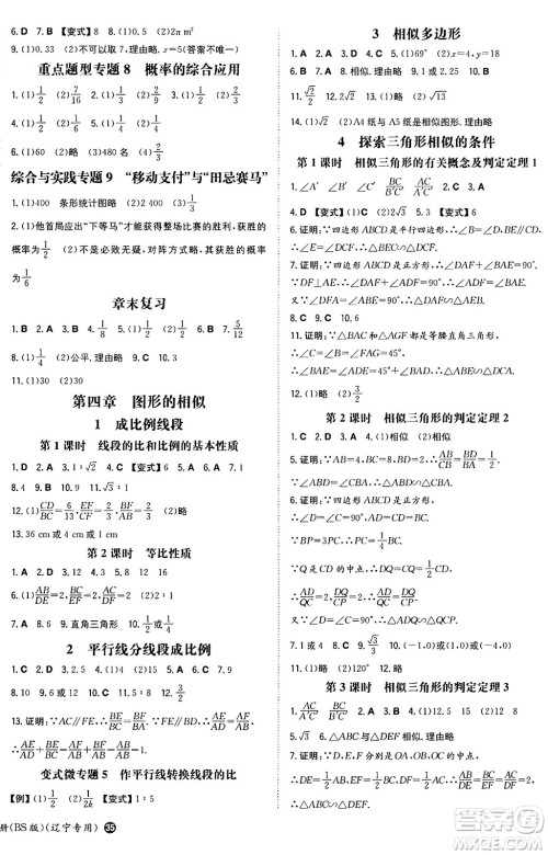 湖南教育出版社2024年秋一本同步训练九年级数学上册北师大版辽宁专版答案