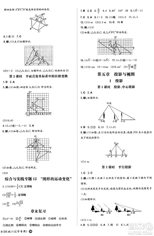 湖南教育出版社2024年秋一本同步训练九年级数学上册北师大版辽宁专版答案