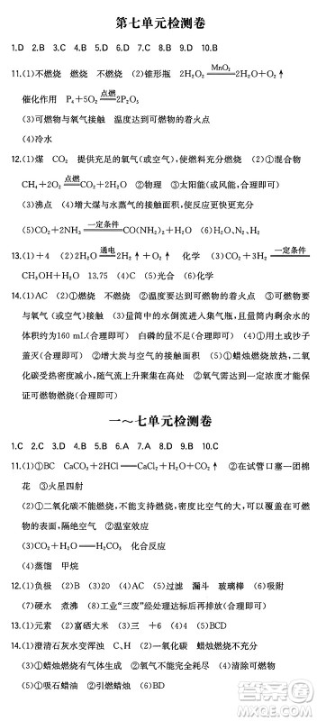 湖南教育出版社2024年秋一本同步训练九年级化学上册人教版辽宁专版答案