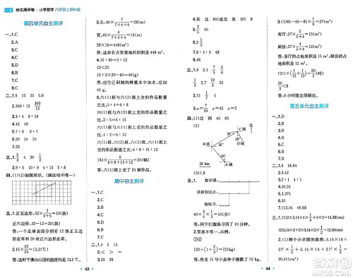 湖南教育出版社2024年秋一本同步训练六年级数学上册人教版答案