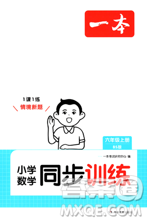 湖南教育出版社2024年秋一本同步训练六年级数学上册北师大版答案