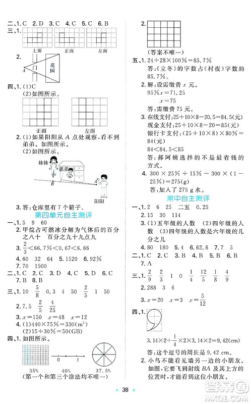 湖南教育出版社2024年秋一本同步训练六年级数学上册北师大版答案