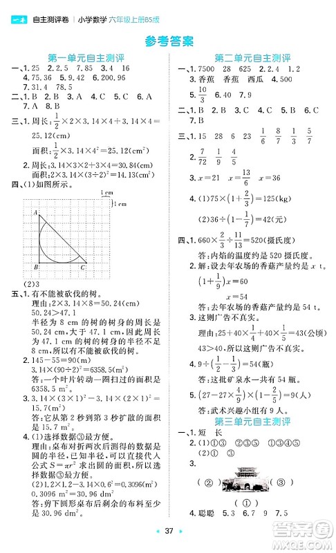 湖南教育出版社2024年秋一本同步训练六年级数学上册北师大版答案