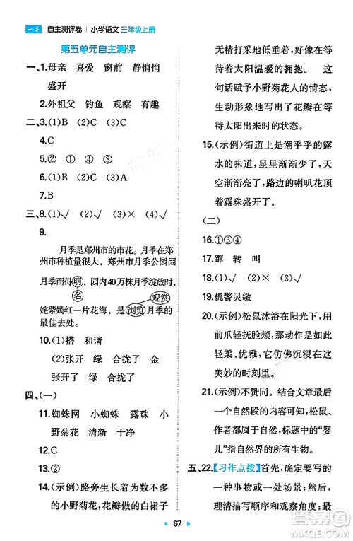 湖南教育出版社2024年秋一本同步训练三年级语文上册人教版答案