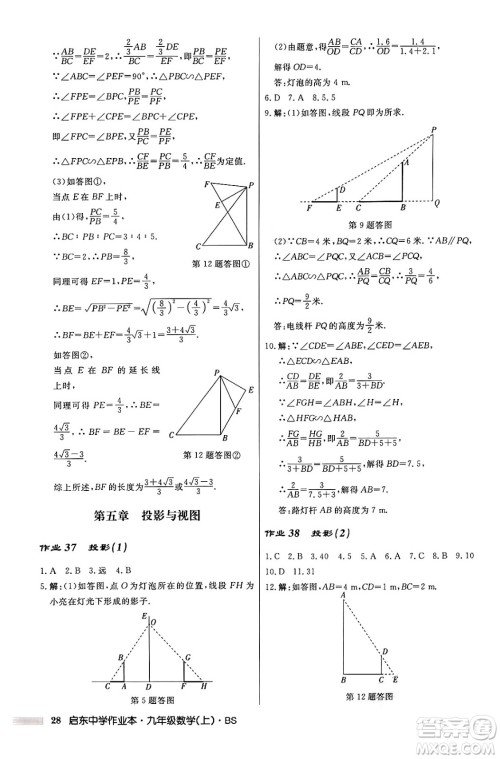 龙门书局2024秋启东中学作业本九年级数学上册北师大版答案