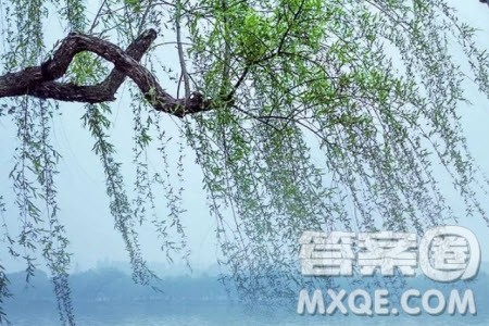 思考生命的独特性与丰富性材料作文800字 关于思考生命的独特性与丰富性的材料作文800字 思考生命的独特性与丰富性材料作文800字 关于思考生命的独特性与丰富性的材料作文800字