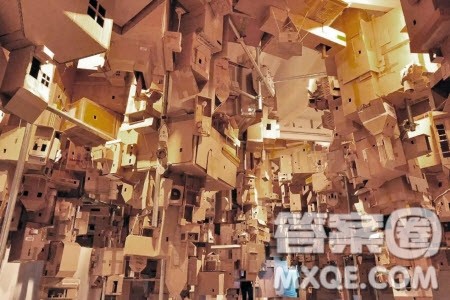 相关的知识越贫乏他所相信的东西就越绝对的材料作文800字 相关的知识越贫乏他所相信的东西就越绝对的材料作文800字