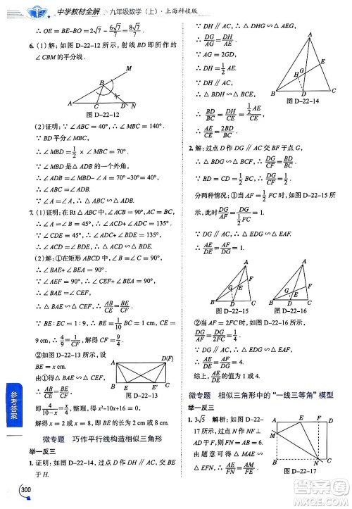 陕西人民教育出版社2024年秋中学教材全解九年级数学上册沪科版答案