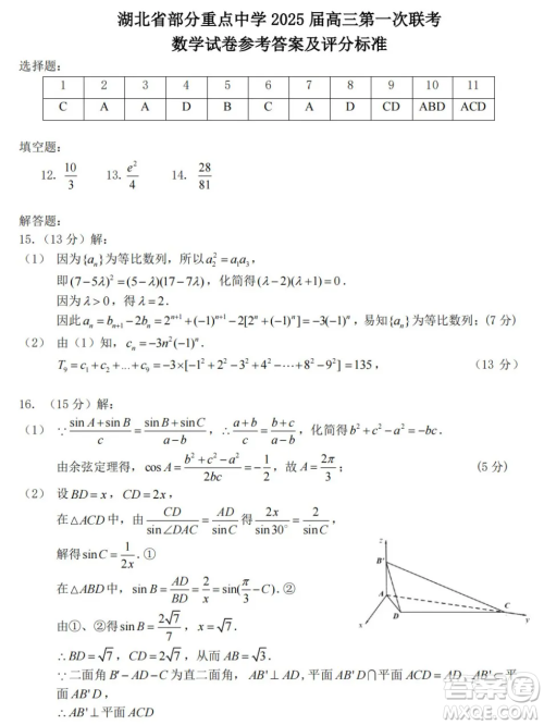 湖北部分重点中学2025届高三第一次联考数学试卷及答案