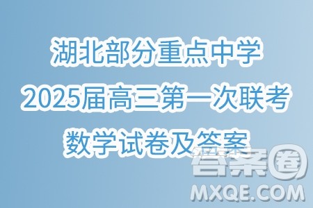 湖北部分重点中学2025届高三第一次联考数学试卷及答案