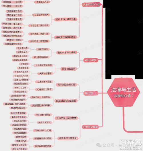 2024年高中政治重要知识点梳理思维导图