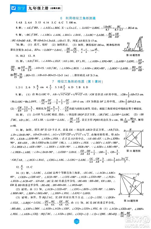 辽海出版社2024年秋新课程能力培养九年级数学上册北师大版答案