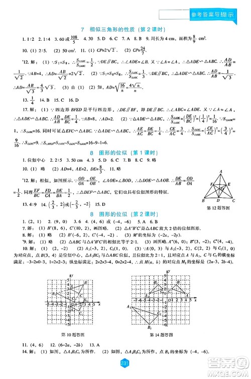 辽海出版社2024年秋新课程能力培养九年级数学上册北师大版答案