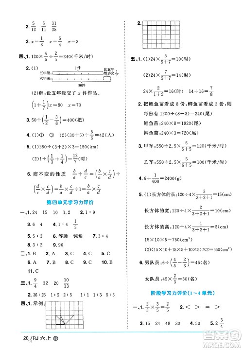 福建少年儿童出版社2024年秋阳光同学课时优化作业六年级数学上册人教版福建专版答案