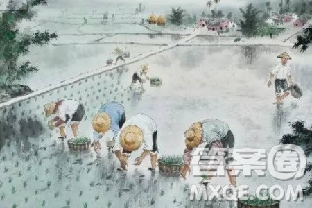 插秧歌材料作文800字 关于插秧歌的材料作文800字 插秧歌材料作文800字 关于插秧歌的材料作文800字