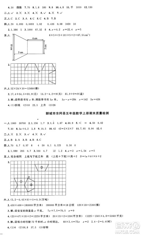 江西教育出版社2024年秋阳光同学课时优化作业五年级数学上册青岛版山东专版答案