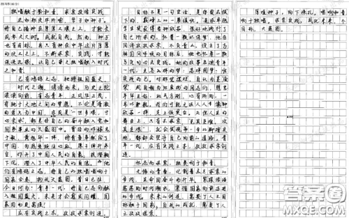 郑庆华以种子比喻学子勉励毕业生材料作文800字