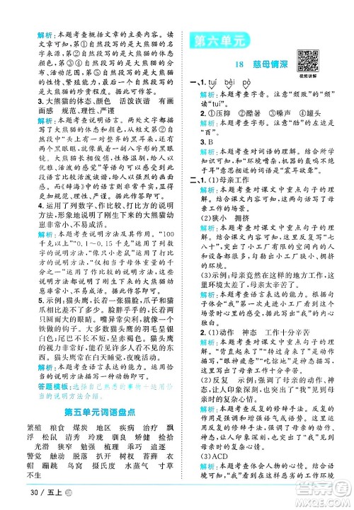 江西教育出版社2024年秋阳光同学课时优化作业五年级语文上册鲁教版五四制答案 江西教育出版社2024年秋阳光同学课时优化作业五年级语文上册鲁教版五四制答案