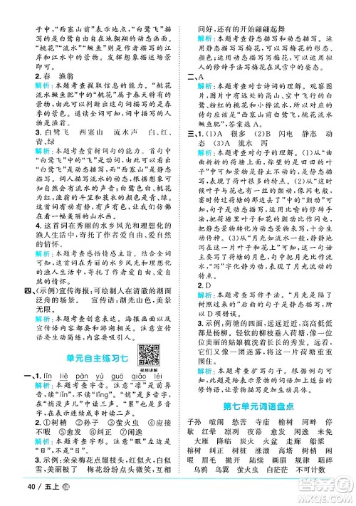 江西教育出版社2024年秋阳光同学课时优化作业五年级语文上册鲁教版五四制答案 江西教育出版社2024年秋阳光同学课时优化作业五年级语文上册鲁教版五四制答案