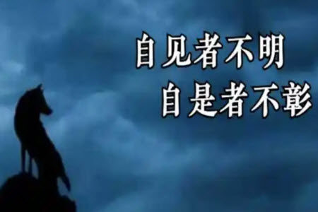 自见者不明材料作文800字 关于自见者不明的材料作文800字