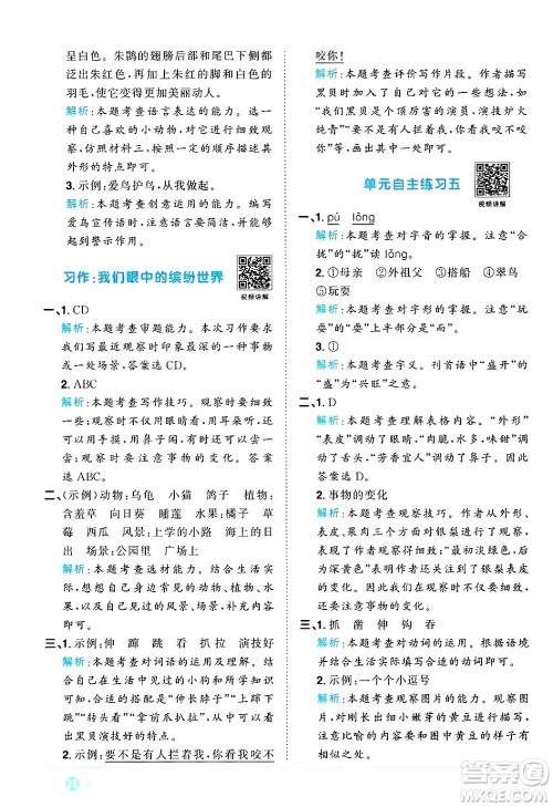 江西教育出版社2024年秋阳光同学课时优化作业三年级语文上册人教版河北专版答案