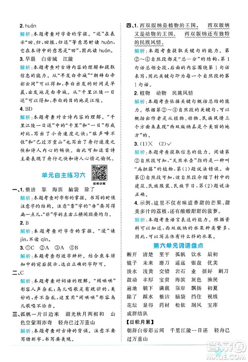 江西教育出版社2024年秋阳光同学课时优化作业三年级语文上册人教版河北专版答案