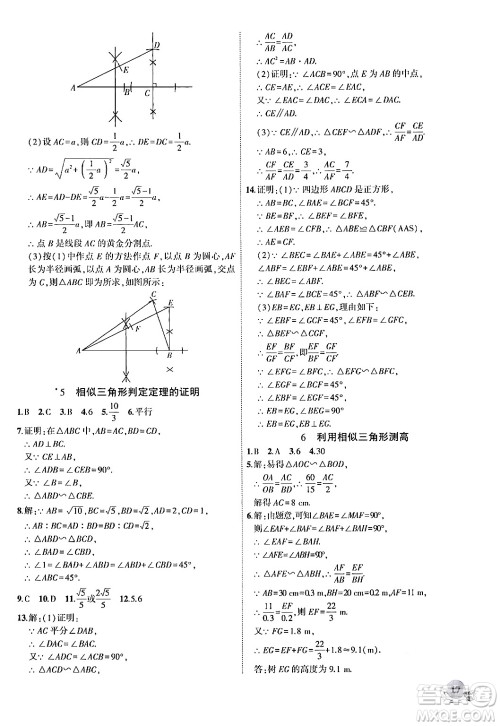 安徽大学出版社2024年秋创新课堂创新作业本九年级数学上册北师大版答案