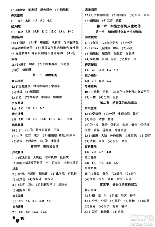 安徽大学出版社2024年秋创新课堂创新作业本七年级生物上册人教版答案 安徽大学出版社2024年秋创新课堂创新作业本七年级生物上册人教版答案