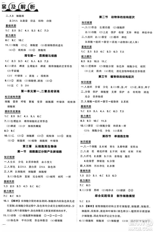 吉林教育出版社2024年秋状元成才路创优作业七年级生物上册人教版答案