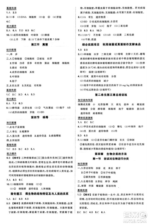 吉林教育出版社2024年秋状元成才路创优作业七年级生物上册人教版答案 吉林教育出版社2024年秋状元成才路创优作业七年级生物上册人教版答案