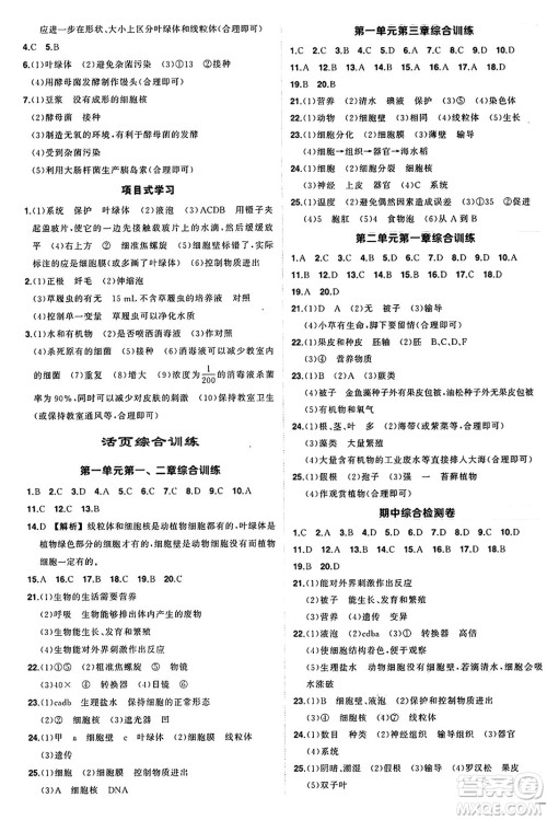 吉林教育出版社2024年秋状元成才路创优作业七年级生物上册人教版答案 吉林教育出版社2024年秋状元成才路创优作业七年级生物上册人教版答案