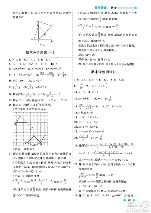 天津人民出版社2024年秋上海作业七年级数学上册上海专版答案