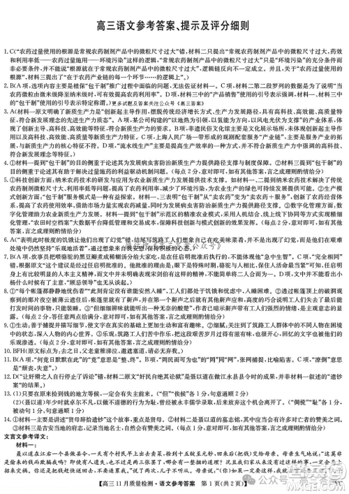 2025九师联盟高三11月质量检测语文答案 2025九师联盟高三11月质量检测语文答案