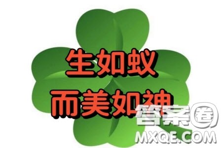 人可生如蚁而美如神材料作文800字 关于人可生如蚁而美如神的材料作文800字 人可生如蚁而美如神材料作文800字 关于人可生如蚁而美如神的材料作文800字