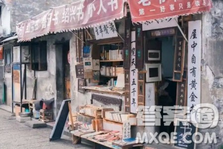 真正的行家里手身上有两种气质材料作文800字