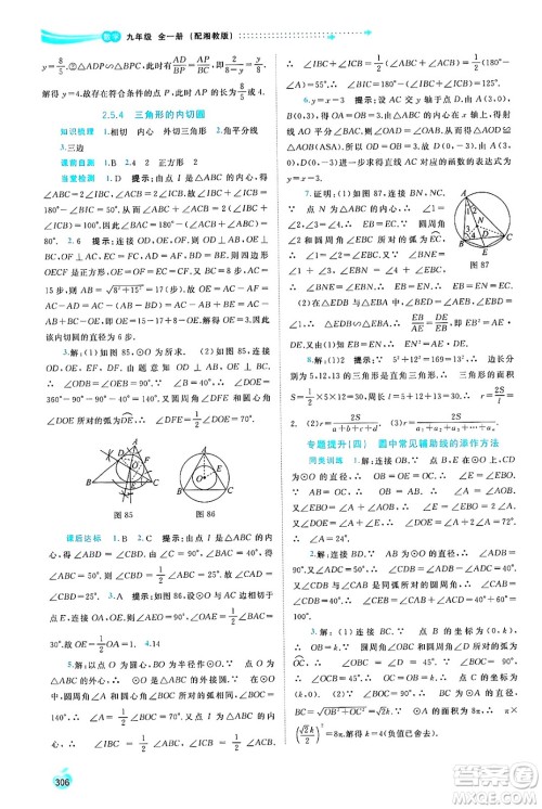 广西师范大学出版社2025年春新课程学习与测评同步学习九年级数学全一册湘教版答案