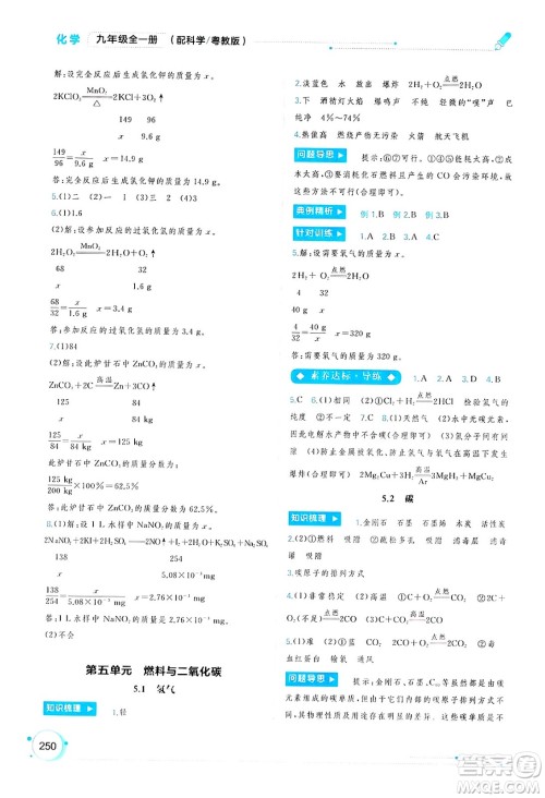 广西师范大学出版社2025年春新课程学习与测评同步学习九年级化学全一册科粤版答案